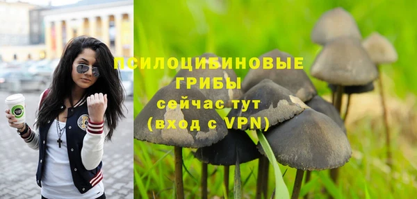 mdpv Ветлуга