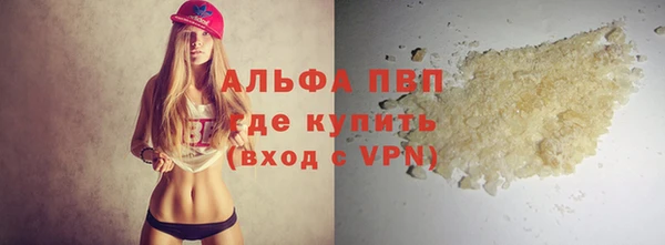 амф Вуктыл