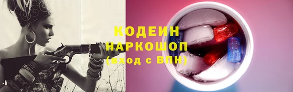амф Вуктыл