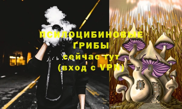 mdpv Ветлуга