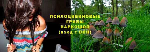 эйфоретик Видное