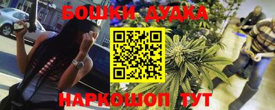 крисы Можга