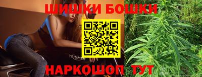 крисы Можга