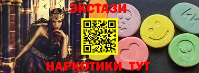 крисы Можга
