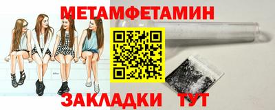 крисы Можга
