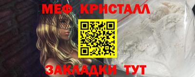 крисы Можга