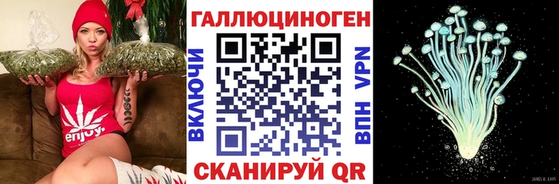 blacksprut рабочий сайт  сколько стоит  сайты даркнета какой сайт  Псилоцибиновые грибы мухоморы  Истра 