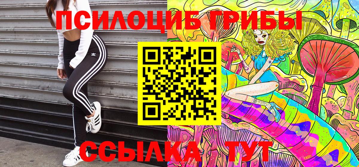 Галлюциногенные грибы Cubensis  Вход с VPN  Истра 